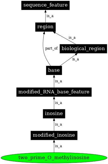 Graph image for SO:0001280