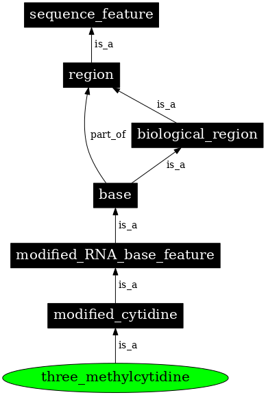 Graph image for SO:0001281