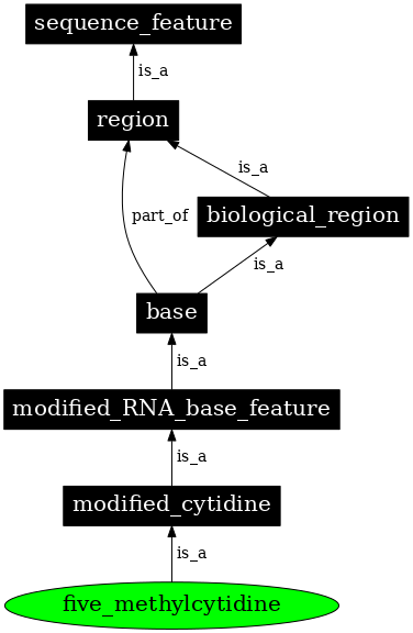 Graph image for SO:0001282