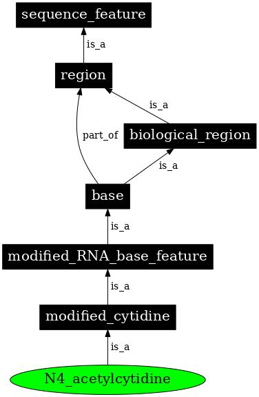 Graph image for SO:0001285