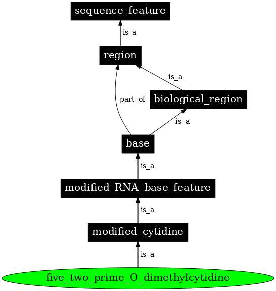 Graph image for SO:0001287