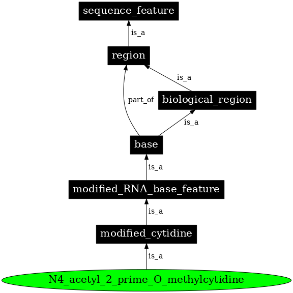 Graph image for SO:0001288