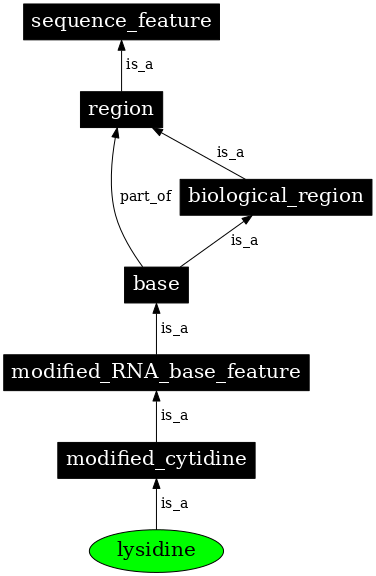 Graph image for SO:0001289