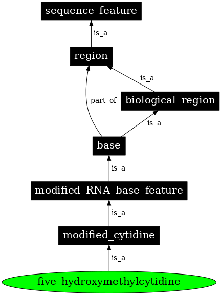 Graph image for SO:0001292