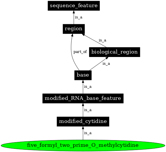 Graph image for SO:0001293