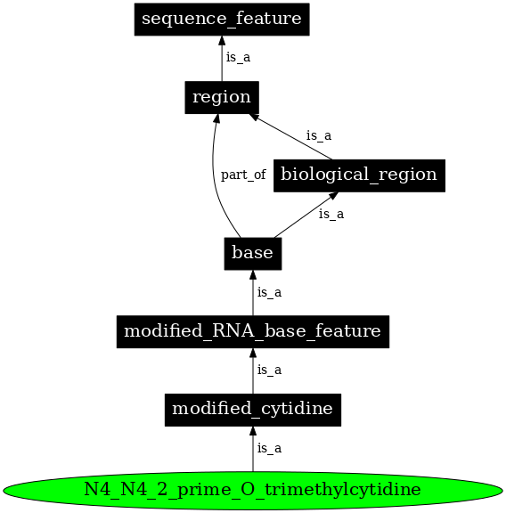 Graph image for SO:0001294