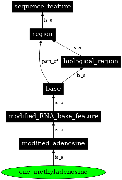 Graph image for SO:0001295