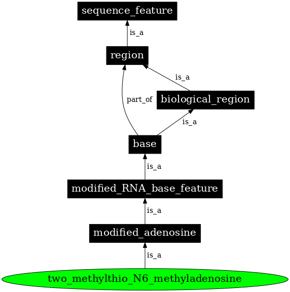 Graph image for SO:0001299