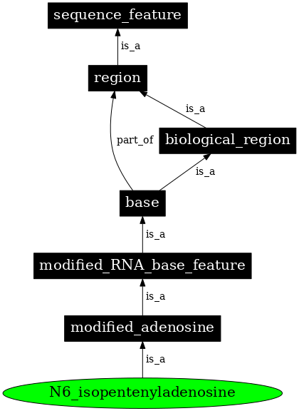 Graph image for SO:0001300