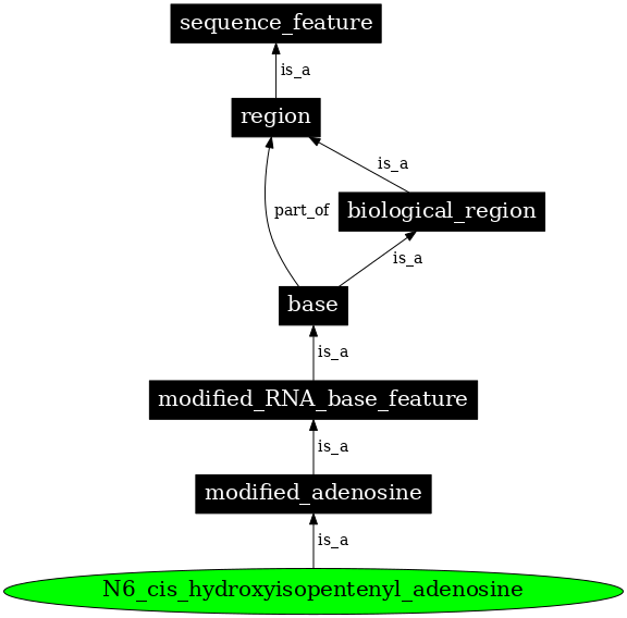 Graph image for SO:0001302