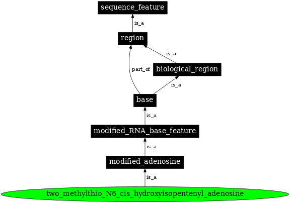 Graph image for SO:0001303