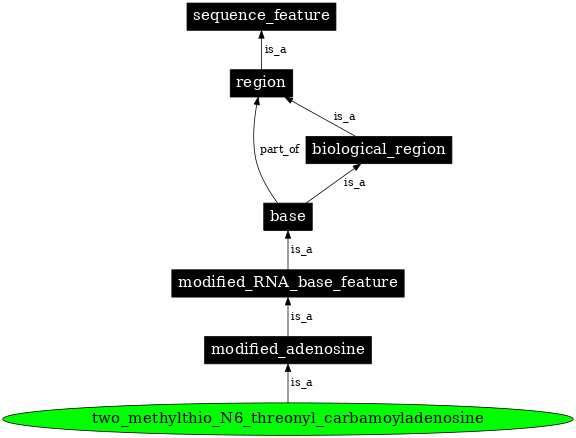 Graph image for SO:0001306