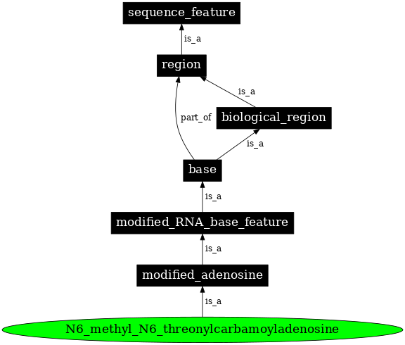 Graph image for SO:0001307