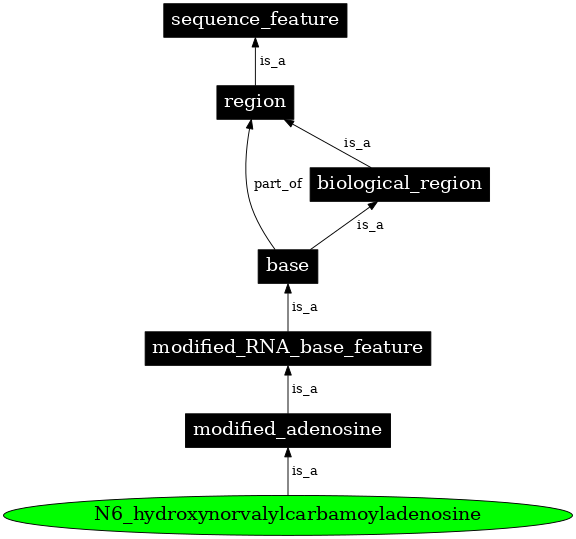 Graph image for SO:0001308