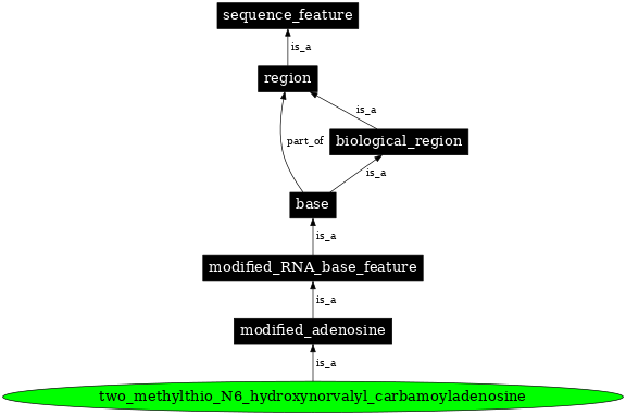 Graph image for SO:0001309