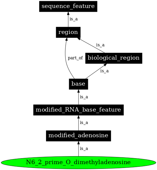 Graph image for SO:0001312