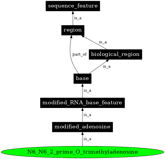 Graph image for SO:0001313