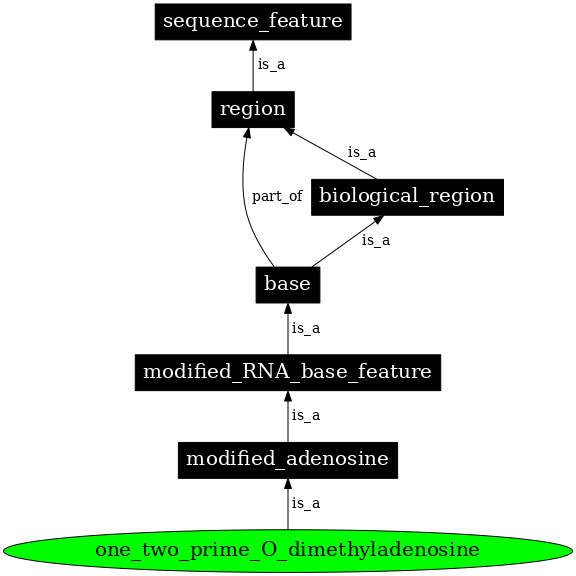 Graph image for SO:0001314