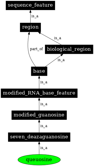 Graph image for SO:0001317