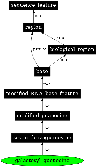 Graph image for SO:0001319