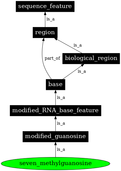 Graph image for SO:0001326