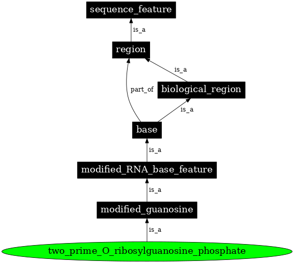 Graph image for SO:0001331