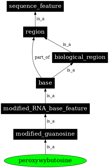 Graph image for SO:0001333