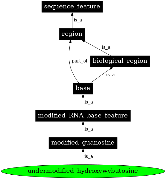 Graph image for SO:0001335