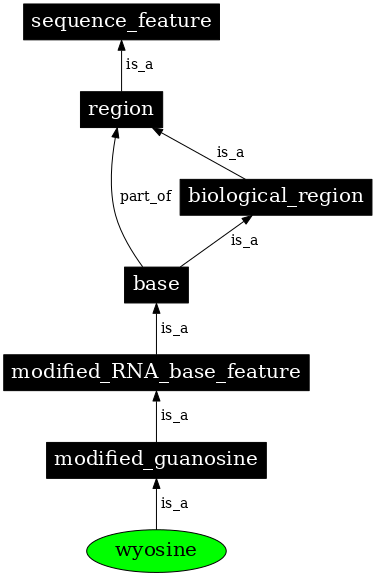 Graph image for SO:0001336