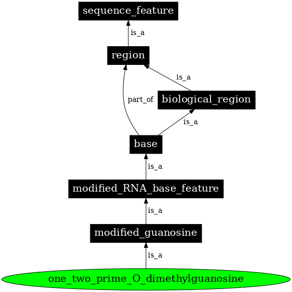 Graph image for SO:0001340