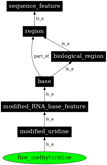 Graph image for SO:0001344