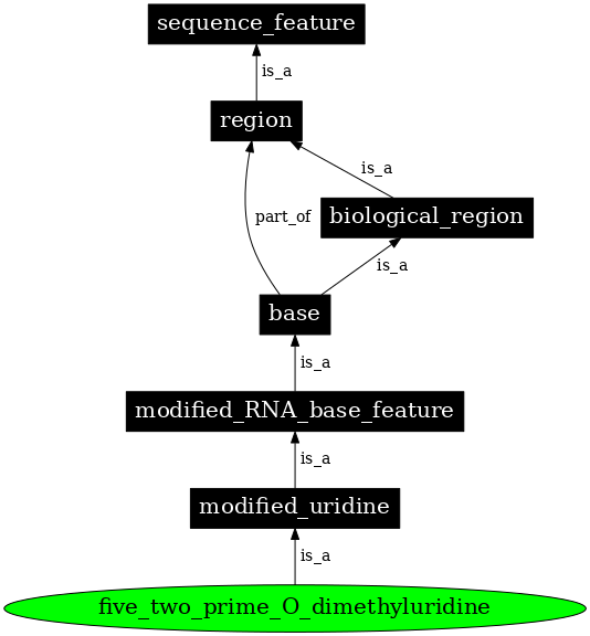 Graph image for SO:0001346