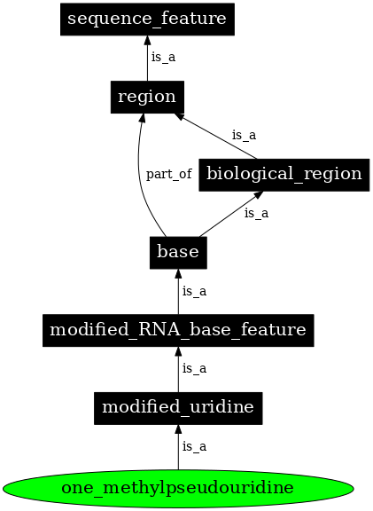 Graph image for SO:0001347