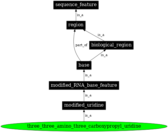 Graph image for SO:0001353