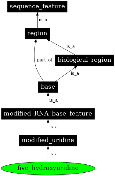 Graph image for SO:0001354