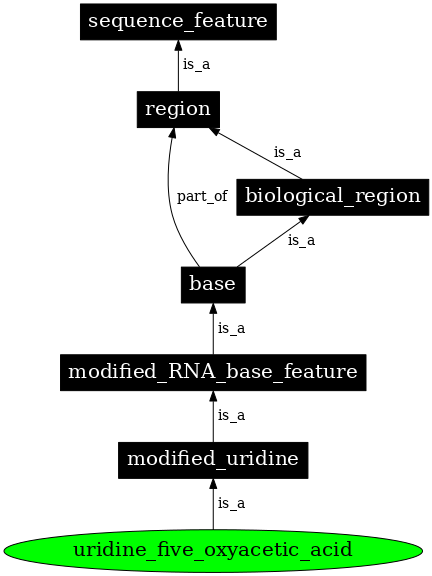 Graph image for SO:0001356