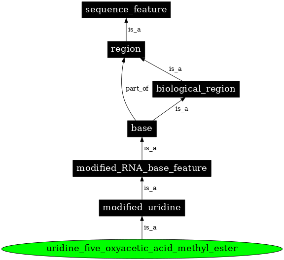 Graph image for SO:0001357