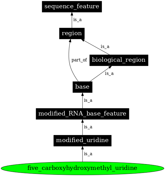 Graph image for SO:0001358