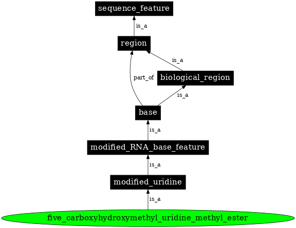 Graph image for SO:0001359