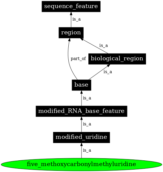 Graph image for SO:0001360