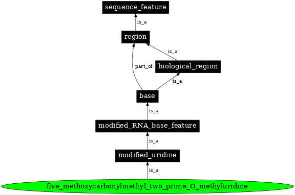 Graph image for SO:0001361