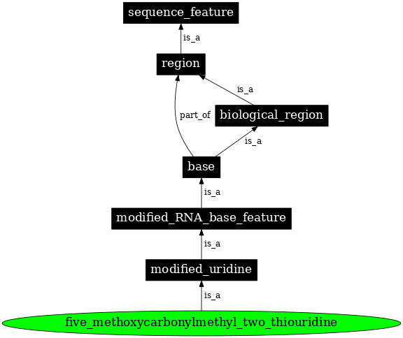 Graph image for SO:0001362