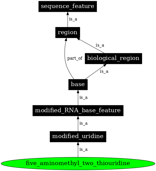 Graph image for SO:0001363