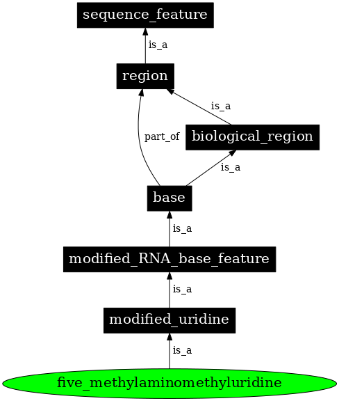 Graph image for SO:0001364