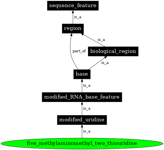 Graph image for SO:0001365