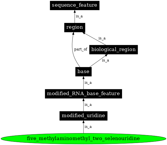 Graph image for SO:0001366