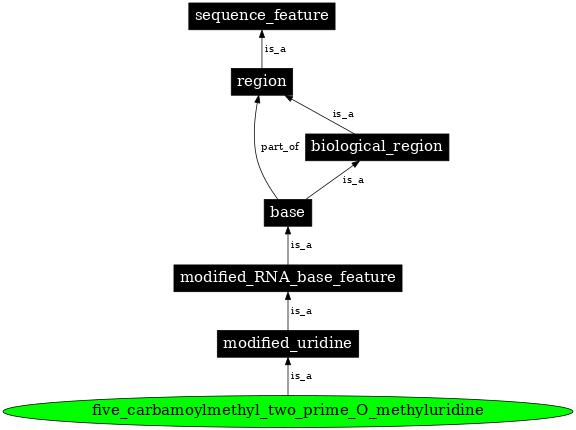 Graph image for SO:0001368