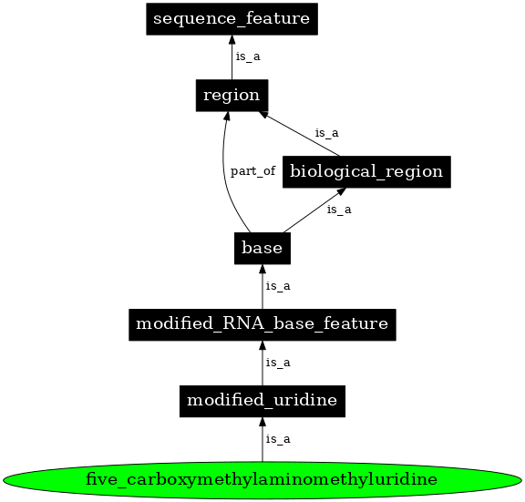 Graph image for SO:0001369