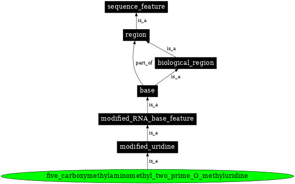 Graph image for SO:0001370