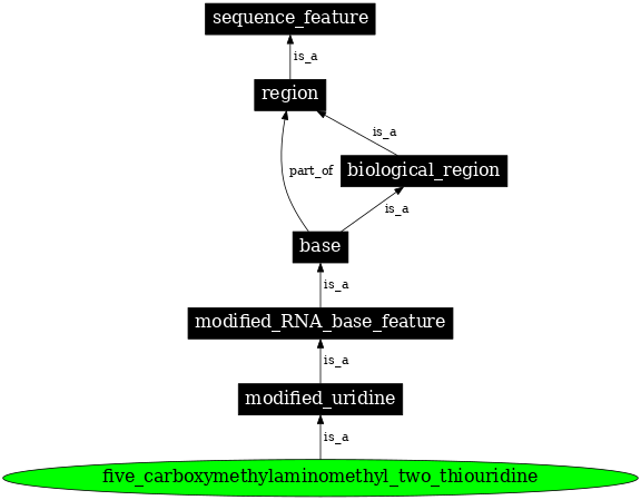 Graph image for SO:0001371